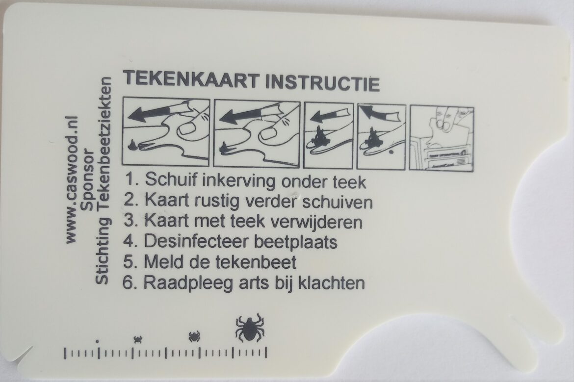 tekenkaart achterzijde gratis demo