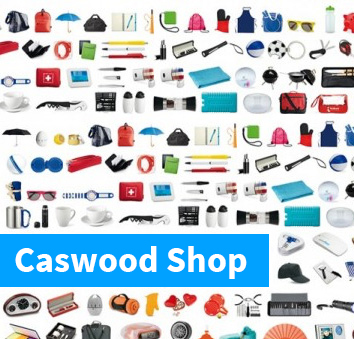 logo website