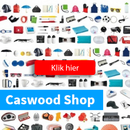 logo website