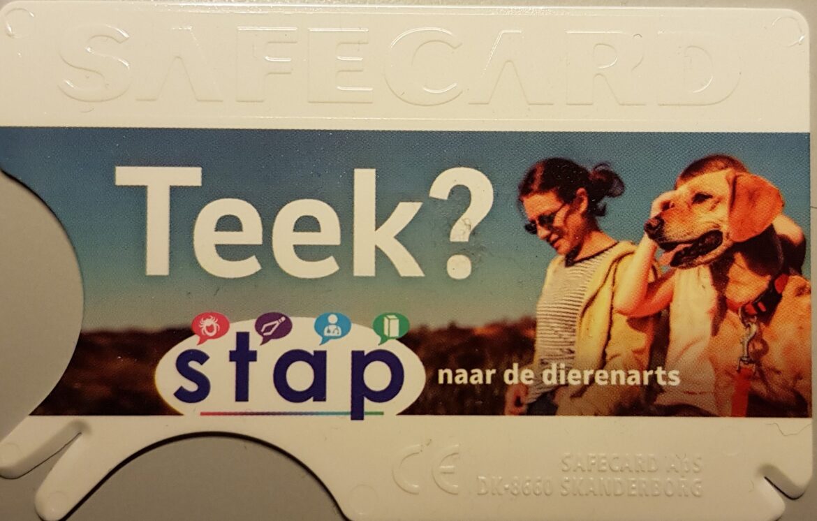 tekenkaart beide zijjden all over full color bedrukt
