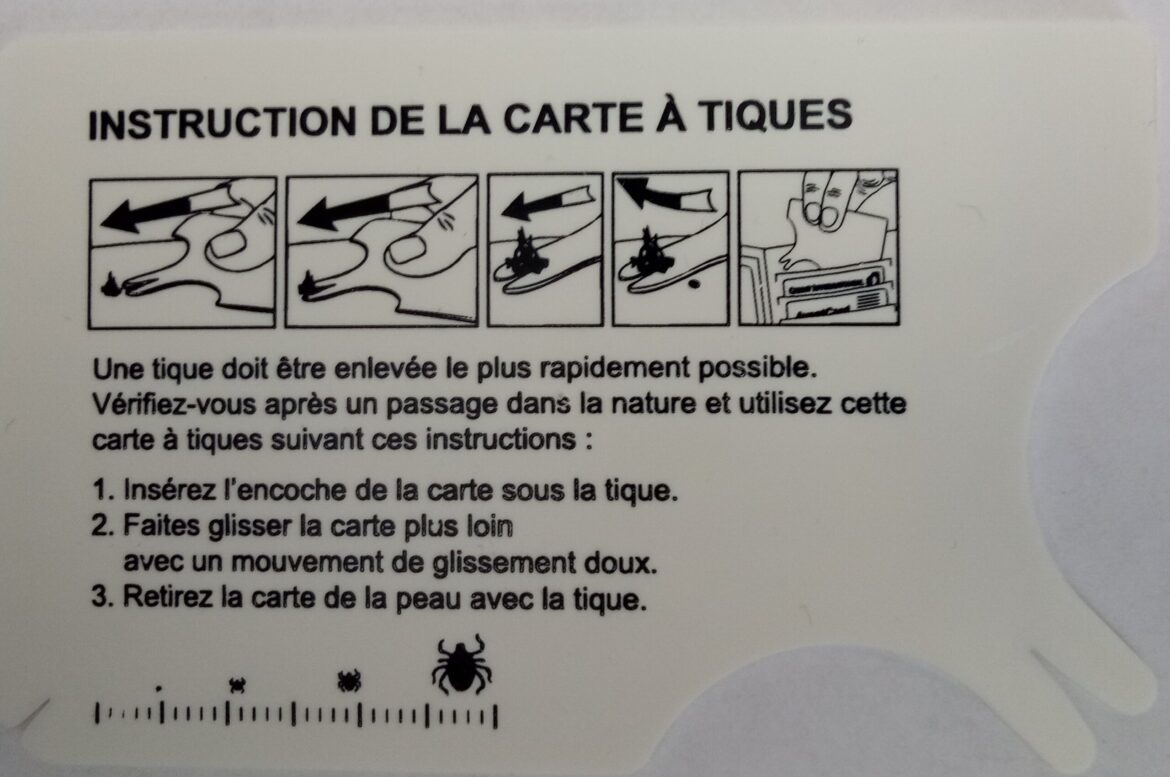 tekenkaart demo frans